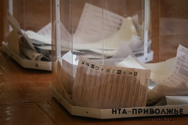 Около двух тысяч общественных наблюдателей будет присутствовать на президентских выборах в Нижегородской области