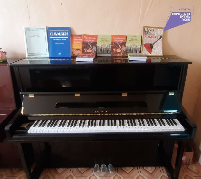 Более 660 тыс. рублей получила Вадская детская музыкальная школа на закупку музыкальных инструментов. 