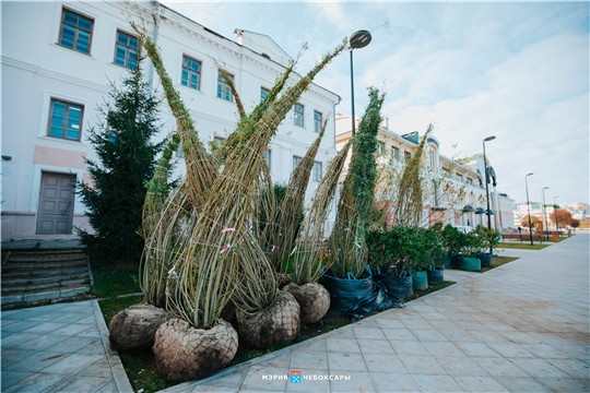 Чебоксарскую Красную площадь начали засаживать деревьями