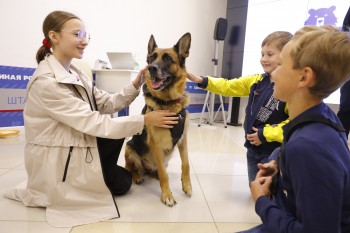 Серия бесплатных мастер-классов по дрессировке собак стартовала в Нижнем Новгороде