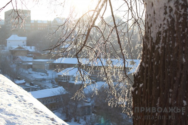 Морозы до -24 градусов прогнозируются в Нижегородской области в ночь на 22 января