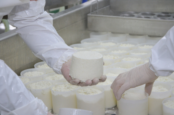 Инвестиции в ремонт и новое оборудование Сормовской молочной кухни составили 15 млн рублей