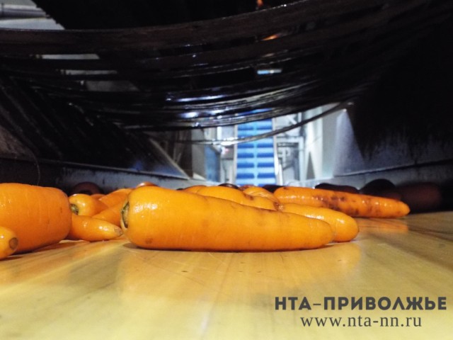 "Нижегородская экспозиция станет одной из самых крупных на выставке "Золотая осень – 2020", - Глеб Никитин