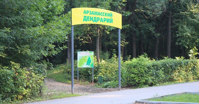 Более 24 млн рублей составит стоимость работ по благоустройству дендрария в Арзамасе Нижегородской области