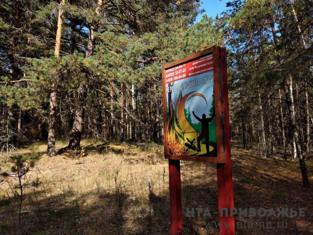 Чрезвычайная пожароопасность сохранится в Нижегородской области до 3 сентября