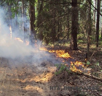 Высокий класс пожароопасности установился в пяти муниципальных образованиях Нижегородской области