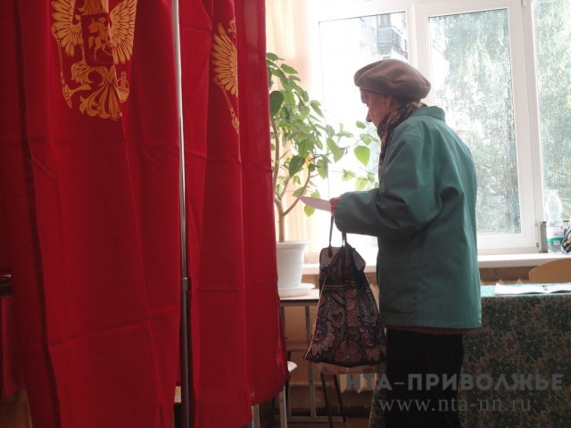 Более 1 млн нижегородцев приняли участие в голосовании по поправкам в Конституцию РФ