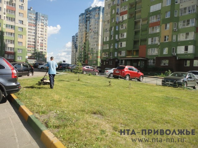 Свыше 6 млн рублей планируется потратить на содержание объектов озеленения Автозаводского района Нижнего Новгорода в 2020 году