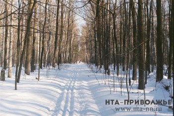 Почти 90 человек пропали на новогодних праздниках в Нижегородской области 