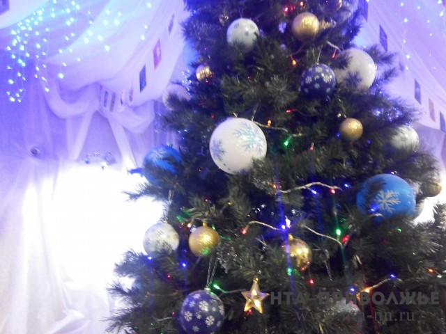 Жители Нижегородской области попали в список самых активных покупателей искусственных новогодних ёлок