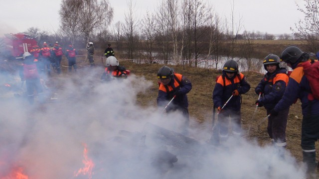 Почти 80 пожаров на сухой траве произошло в Нижегородской области с начала весны