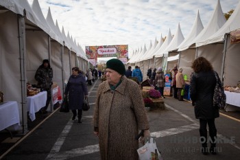Фестивальная ярмарка "Урожай" открылась на площади Минина и Пожарского в Нижнем Новгороде 