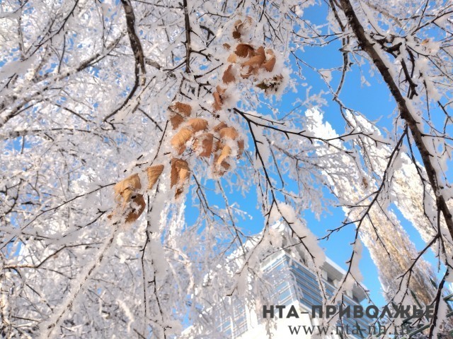 Морозы на 7-14 градусов ниже нормы ожидаются в Нижегородской области 9-13 марта