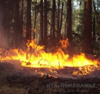 Четвертый класс пожароопасности лесов установлен в Навашино Нижегородской области