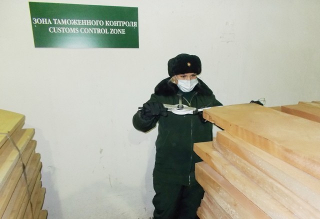 Саратовские таможенники пресекли вывоз почти 40 тонн древесины ценных пород в Казахстан