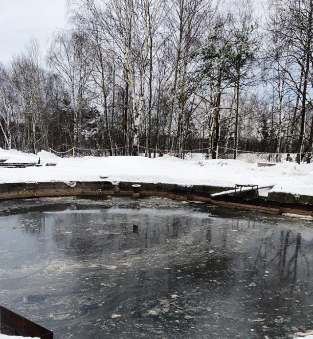Многочисленные нарушения экологических требований выявлены на АО "Линдовское" в Нижегородской области