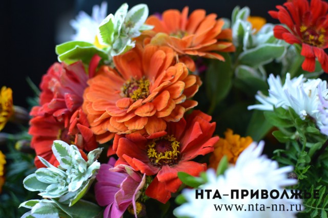 Торговлю цветами, садовой техникой и автозапчастями разрешили в Нижегородской области