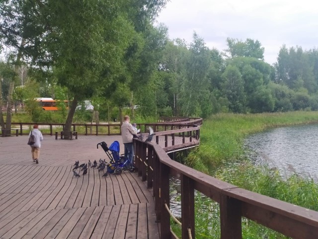 Инфраструктуру для системы видеонаблюдения начали монтировать в Светлоярском парке Нижнего Новгорода