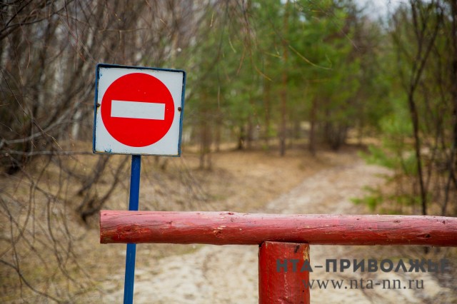 Пожароопасный сезон будет введён в лесах Нижегородской области с 7 апреля