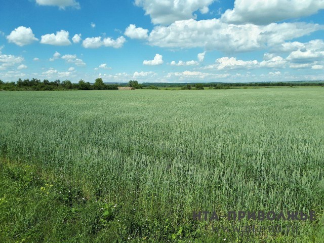 Свыше миллиона тонн зерна планируется собрать в Нижегородской области в 2018 году