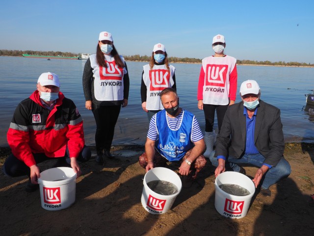 ЛУКОЙЛ поддержал акцию по выпуску молоди рыб в реку Волга в Нижегородской области
