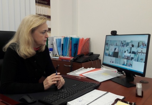 Нижегородский омбудсмен Оксана Кислицына ознакомилась с международным опытом защиты избирательных прав граждан