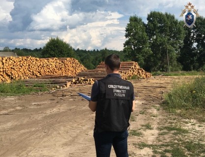 Рабочий погиб на лесопилке в Нижегородской области