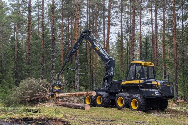 Упор на переработку леса планируют сделать в Нижегородской области