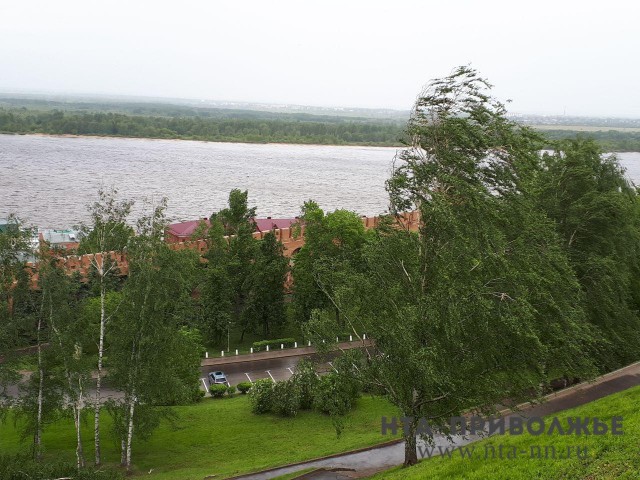 Сильный ветер прогнозируется в Нижегородской области 8 октября