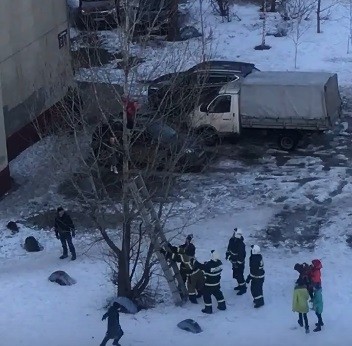 Нижегородские пожарные сняли ребёнка с дерева (ВИДЕО)