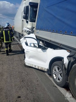 Пять человек погибли в массовом ДТП на Стригинском мосту в Нижнем Новгороде