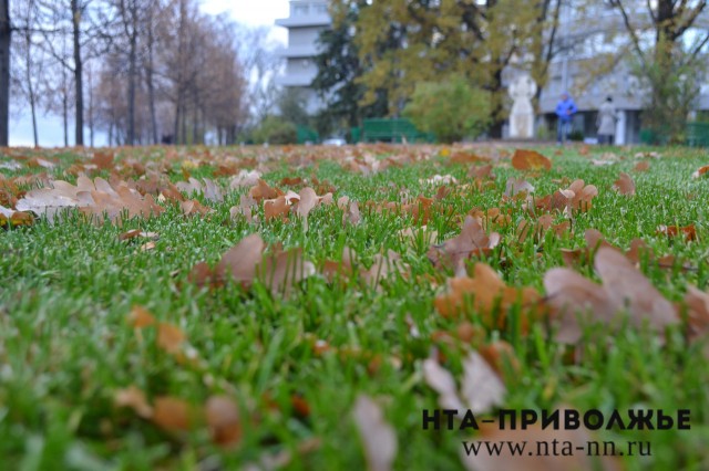 "Бабья осень" придет на неделю в Нижегородскую область