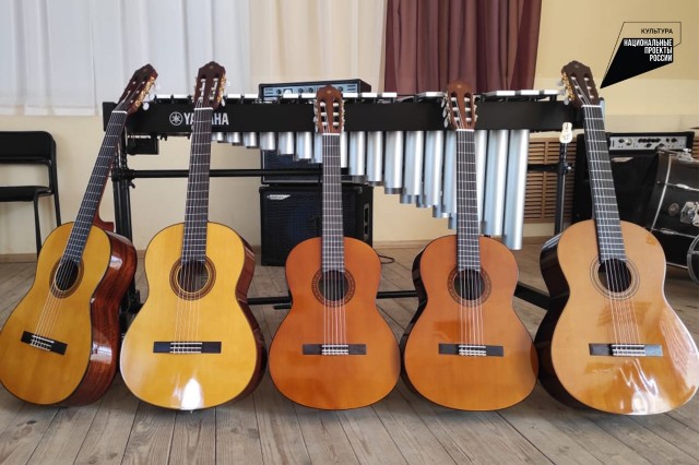 Более 400 музыкальных инструментов закупили нижегородские образовательные учреждения 