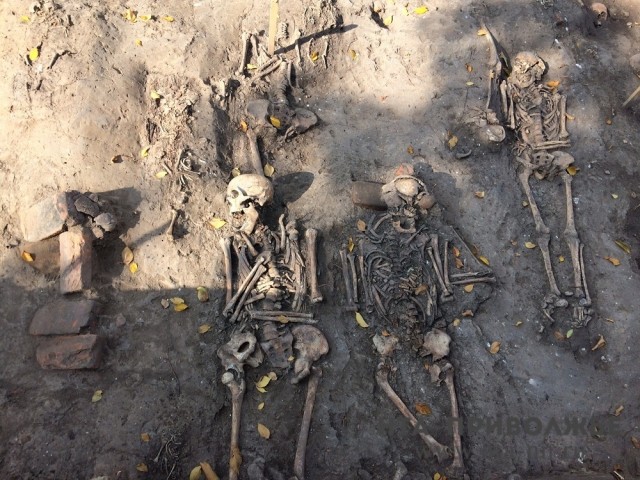 Человеческие останки обнаружены на песчаном карьере в Березовой пойме под Нижним Новгородом