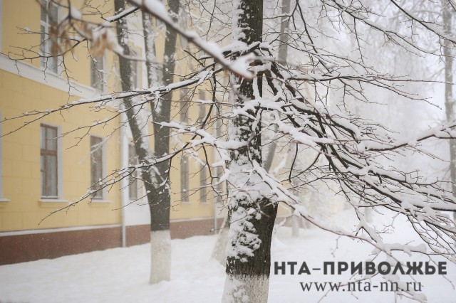 Пасмурная погода сохранится в Нижегородской области до середины недели