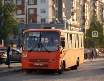 Нижегородских перевозчиков обяжут отчитываться за проезд остановок