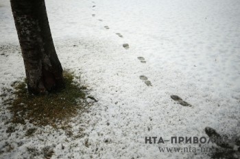 Первый снег в Перми может выпасть на этой неделе