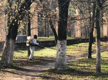 Акарицидная обработка пройдет в парках Нижнего Новгорода с 24 по 27 апреля