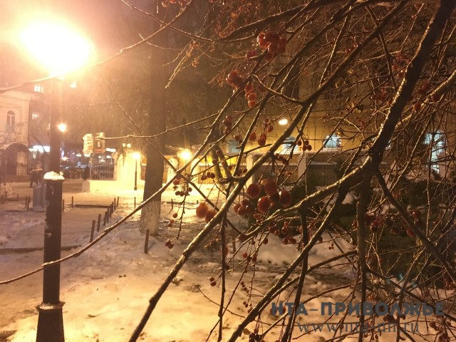 Ледяной дождь прогнозируется в Нижегородской области 16 декабря