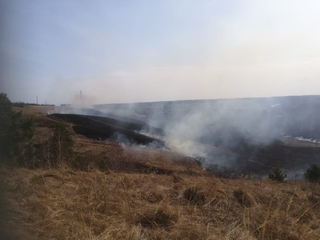 Пожар на сухой траве создал угрозу посёлку Работки в Нижегородской области (ВИДЕО)