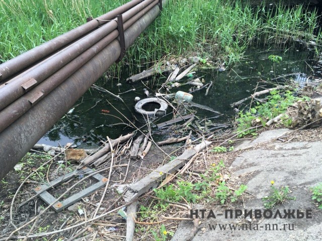 Городские реки Нижнего Новгорода смогут очистить от мусора лишь после изменений в федеральном законодательстве