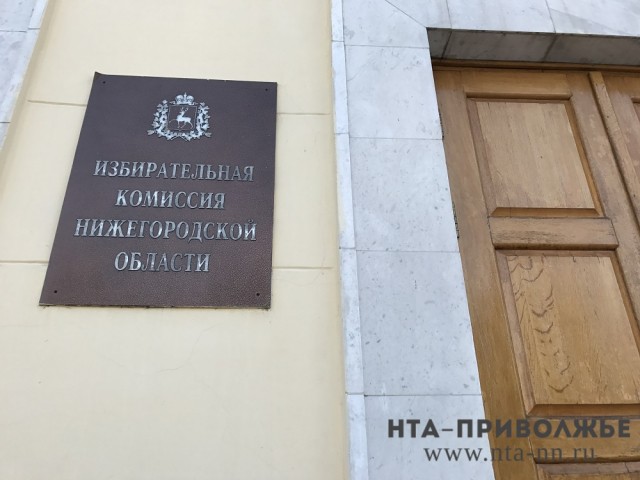 Нижегородский областной избирком назван одним из самых оперативных и открытых