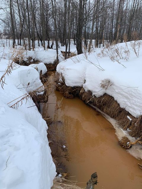 Росприроднадзор установил причины изменения цвета воды в реке Везлома в Нижегородской области