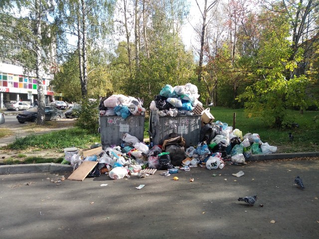 Три мусорных свалки вывезены в Нижегородской области после жалоб в соцсетях
