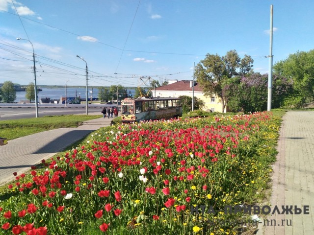 Более 10 млн рублей выделено на цветочное оформление центра Нижнего Новгорода