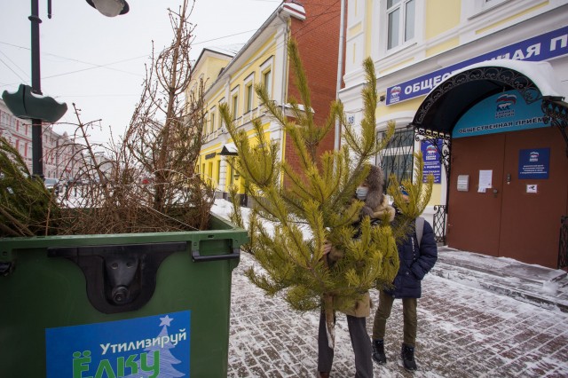 Сдать живые новогодние елки для правильной утилизации в Нижегородской области можно до 31 января
