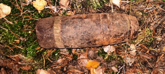 Снаряд ВОВ обнаружен у озера в Сормовском районе Нижнего Новгорода