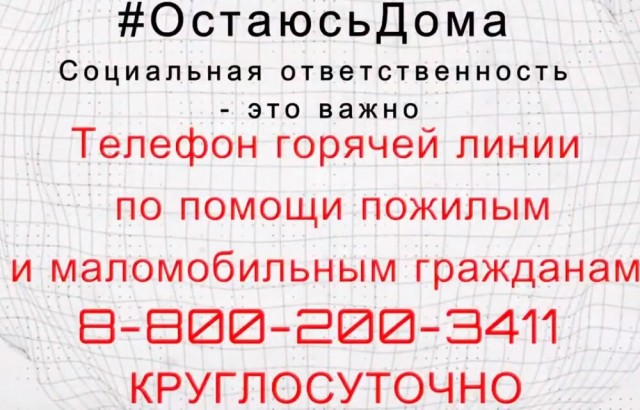 Нижегородское отделение ОНФ поддержало всемирную акцию медиков и запускает флешмоб #ОстаюсьДома (ВИДЕО)
