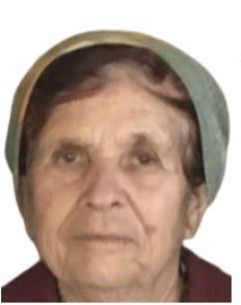 Нижегородцев призывают помочь в розыске пропавшей в Выксунском районе 83-летней Ларисы Лагуновой