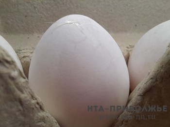 Минсельхоз Чувашии объяснил снижение производства яиц